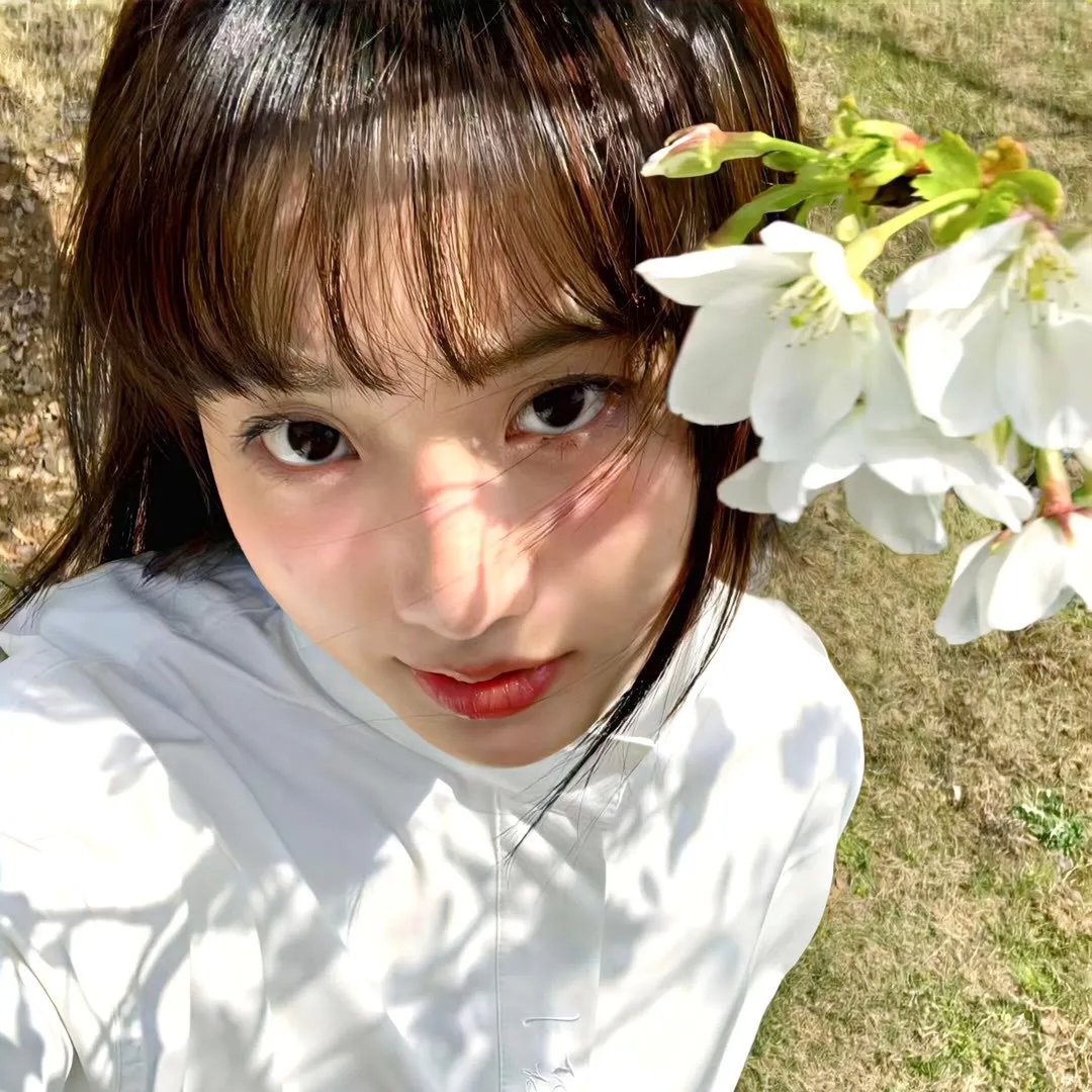与鲨共游
